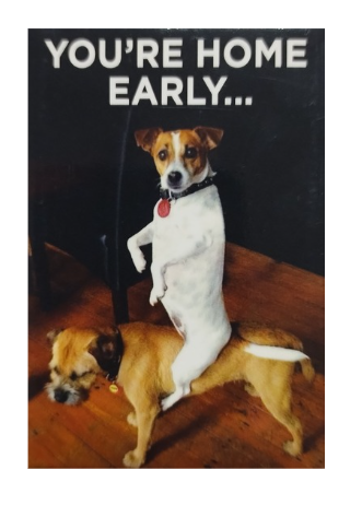 "YOU'RE HOME EARLY..." - Snarky Magnets - Dusty's Country Store