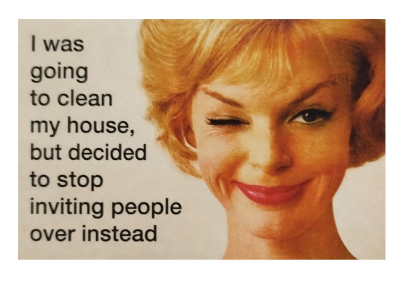 "I was going to clean my house..." - Snarky Magnets - Dusty's Country Store