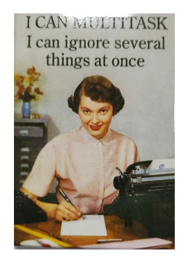 "I CAN MULTITASK..." - Snarky Magnets - Dusty's Country Store