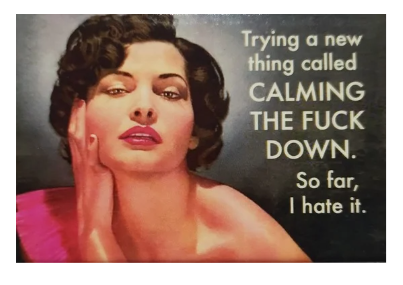 "Trying a new thing..." - Snarky Magnets - Dusty's Country Store