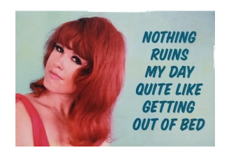 "NOTHING RUINS MY DAY..." - Snarky Magnets - Dusty's Country Store