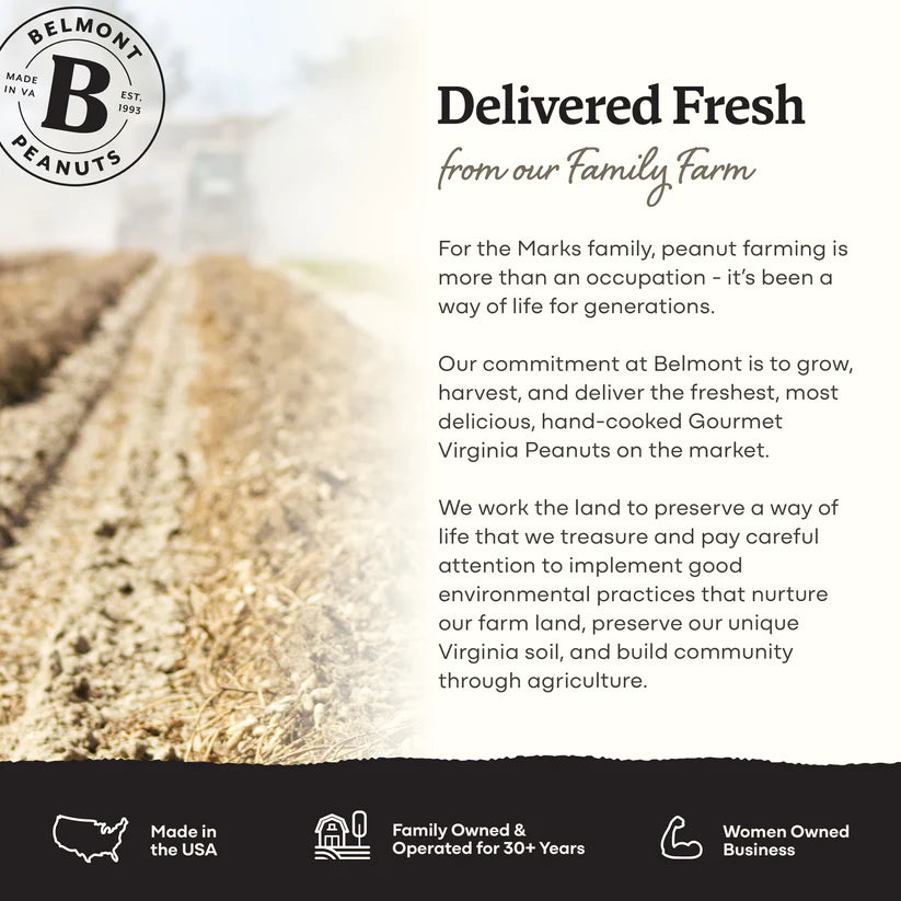 Belmont Peanut Brittle Squares 10 OZ - Dusty's Country Store