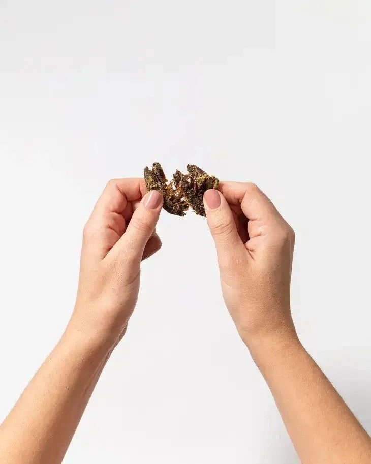 Pan's Mushroom Jerky - Applewood BBQ - Dusty's Country Store