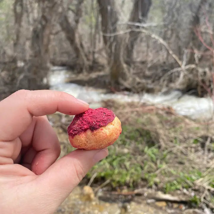 Freeze Dried Raspberry Cream Puffs - Dusty's Country Store