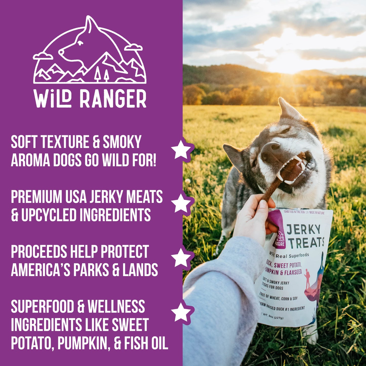 Wild Ranger Jerky Dog Treats - Dusty's Country Store