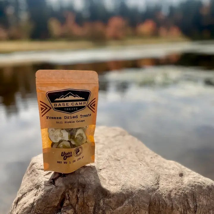 Freeze Dried Dill Pickle Crisps - Dusty's Country Store