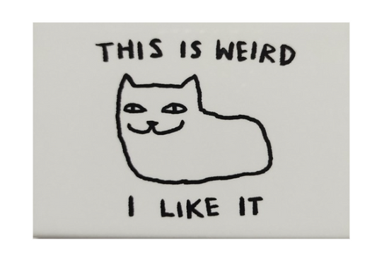 "THIS IS WEIRD... - Snarky Magnets - Dusty's Country Store