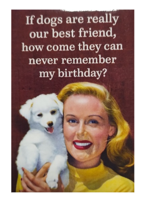 "If dogs are really our best friend..." - Snarky Magnets - Dusty's Country Store